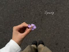 -双山岛