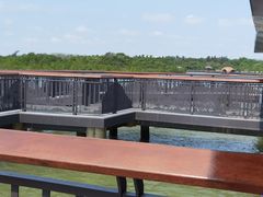 -东寨港红树林旅游区