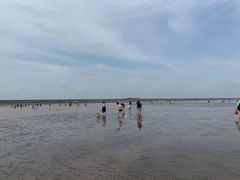 -南汇嘴观海公园