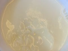 -澳洲牛奶公司(佐敦店)