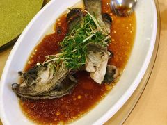 蒸老虎斑-旺富东海大酒楼(海鲜街店)
