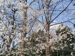 -四川师范大学（成龙校区）-图书馆