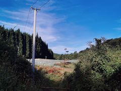 -武陵山森林公园