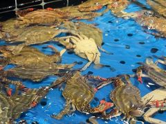 -川骄海鲜自助(河东店)