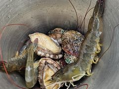 -渔家火锅·海鲜自助餐·演艺(亚龙湾天域酒店)