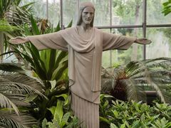 -南宫五洲植物乐园