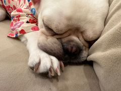 -怪兽屋·羊驼·猫咖·狗咖(俊华广场店)