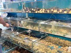-仙螺岛海鲜自助餐厅(总店)