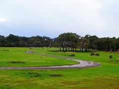 -威勒比开放式动物园