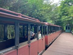 -济州森林小火车生态公园