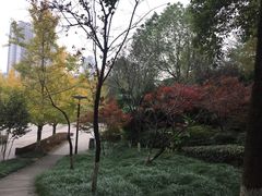 -重庆彩云湖湿地公园