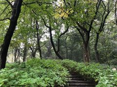 -玉女潭景区