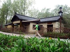 -合肥滨湖国家森林公园