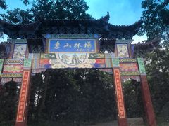 -象山森林公园