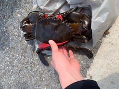 -南沙十九涌渔人码头-南门