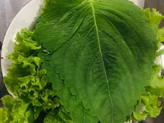 生菜-马路牙子烧烤音乐酒馆(望京店)
