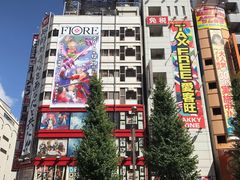 -秋叶原电器街