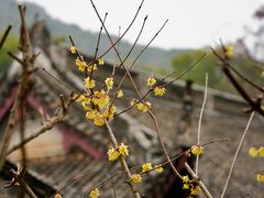 -宁波市保国寺古建筑博物馆