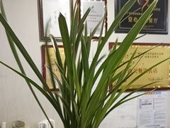 -佛有缘素食馆·荔湾老字号(陈家祠首店)