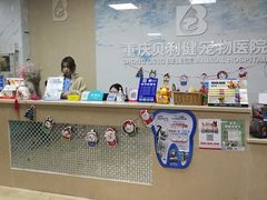 -宠颐生贝利健动物医院(谢家湾分院)