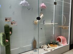 -babydoll猫舍·米努特·德文·缅因(久光中心店)