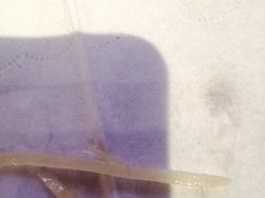 -小蓉合餐厅·川菜·家常菜(凤城二路店)