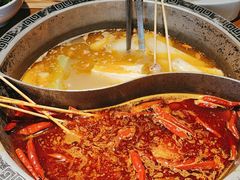 美蛙鸳鸯锅-重庆高老九火锅(宝山龙湖店)