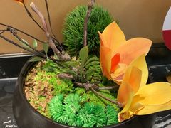 -普天和酒楼(天津之眼店)