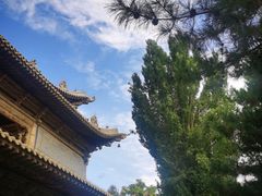 -张掖大佛寺景区