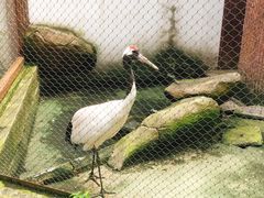 -南昌动物园