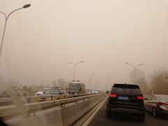 -庆丰包子铺(潘家园店)