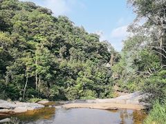 -海南热带雨林国家公园吊罗山景区