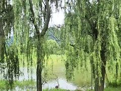 -云漫湖生态度假公园