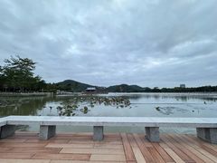 -顺峰山公园