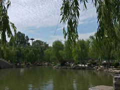 -西宁市人民公园(城西区)