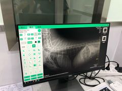 -佳雯宠物医院(金华南路分院)