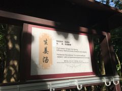 -三亚海棠湾南田温泉神龙谷