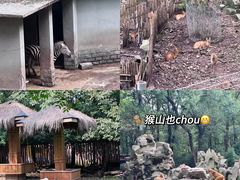 -杭州动物园