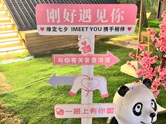 -十亩森林