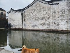 -西溪南古村落