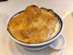桃胶双皮奶-仁信老铺(华盖路店)