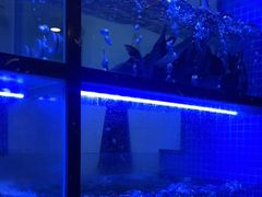 -云中鱼蒸汽石锅鱼(川沙百联店)