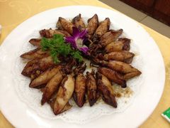 笔管鱼-海岛渔村大酒店(云霄路店)