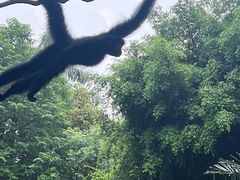 -广州长隆野生动物世界