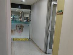-谐和贝康宠物医院24小时·宠保定点(急重症转诊中心)