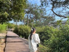 -大罗山风景区