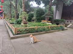 -无锡惠山寺