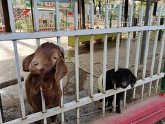 -荆州中山公园动物园