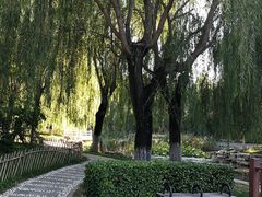 -丰台科技园生态主题公园
