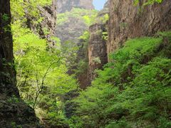 -野三坡百里峡景区